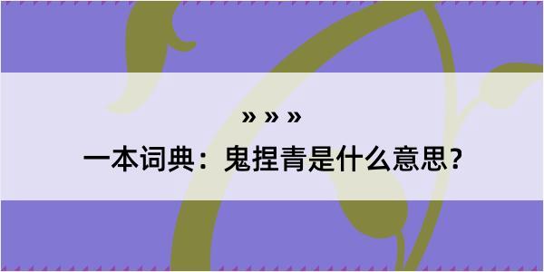 一本词典：鬼捏青是什么意思？