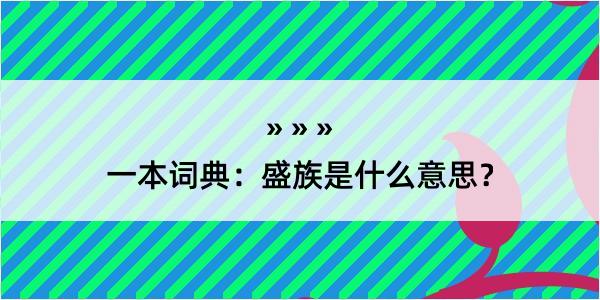 一本词典：盛族是什么意思？