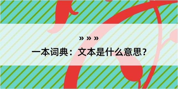 一本词典：文本是什么意思？