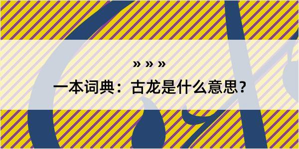 一本词典：古龙是什么意思？