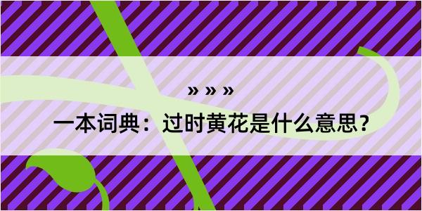 一本词典：过时黄花是什么意思？