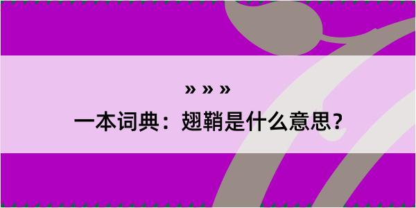 一本词典：翅鞘是什么意思？