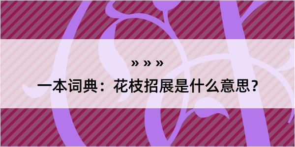 一本词典：花枝招展是什么意思？