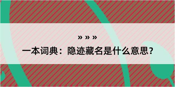 一本词典：隐迹藏名是什么意思？