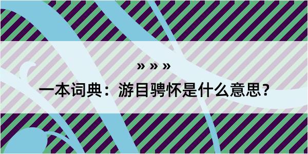 一本词典：游目骋怀是什么意思？