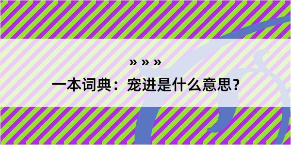 一本词典：宠进是什么意思？