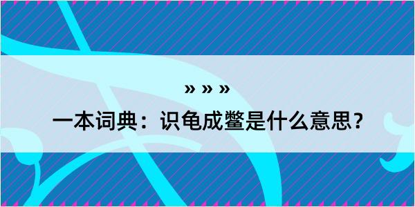 一本词典：识龟成鳖是什么意思？