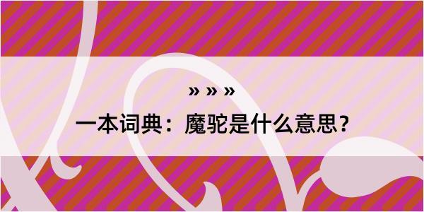 一本词典：魔驼是什么意思？