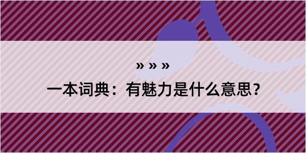 一本词典：有魅力是什么意思？