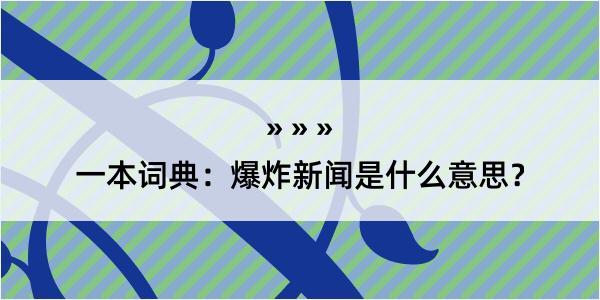 一本词典：爆炸新闻是什么意思？