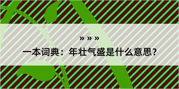 一本词典：年壮气盛是什么意思？