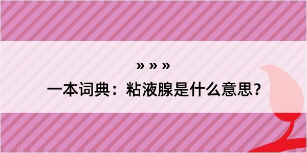 一本词典：粘液腺是什么意思？