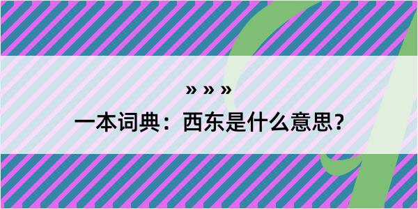 一本词典：西东是什么意思？