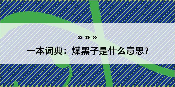 一本词典：煤黑子是什么意思？