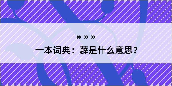 一本词典：薜是什么意思？