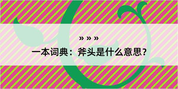 一本词典：斧头是什么意思？