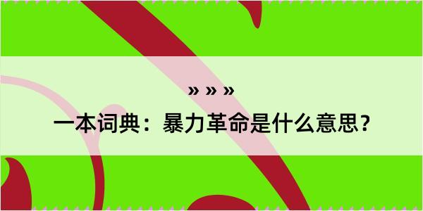 一本词典：暴力革命是什么意思？