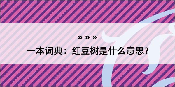 一本词典：红豆树是什么意思？