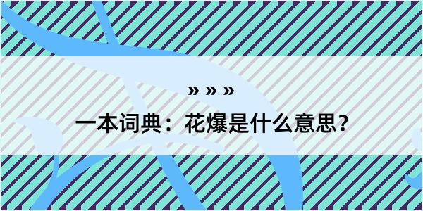 一本词典：花爆是什么意思？