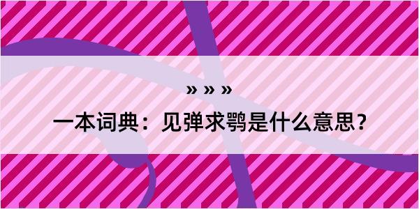 一本词典：见弹求鹗是什么意思？