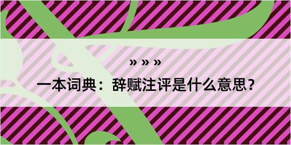 一本词典：辞赋注评是什么意思？