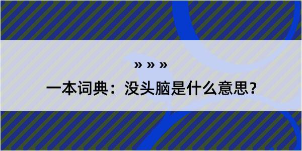 一本词典：没头脑是什么意思？