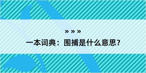 一本词典：围捕是什么意思？