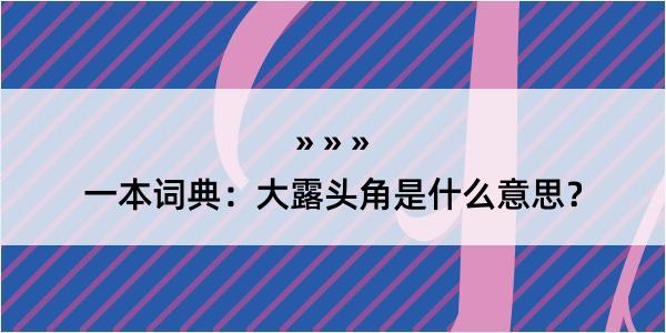 一本词典：大露头角是什么意思？