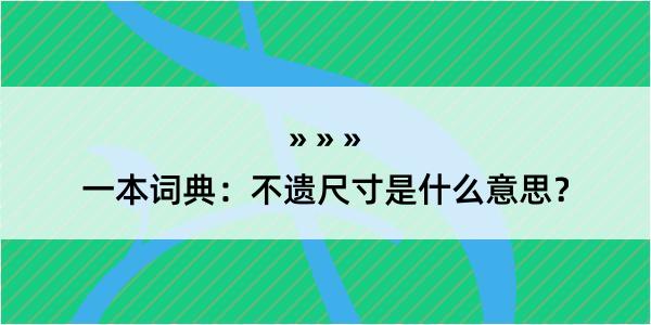 一本词典：不遗尺寸是什么意思？