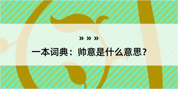 一本词典：帅意是什么意思？