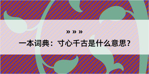 一本词典：寸心千古是什么意思？