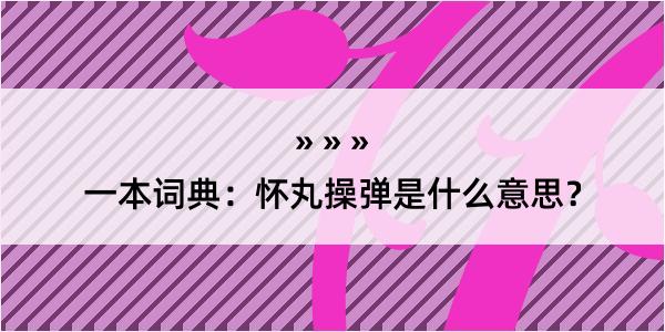 一本词典：怀丸操弹是什么意思？