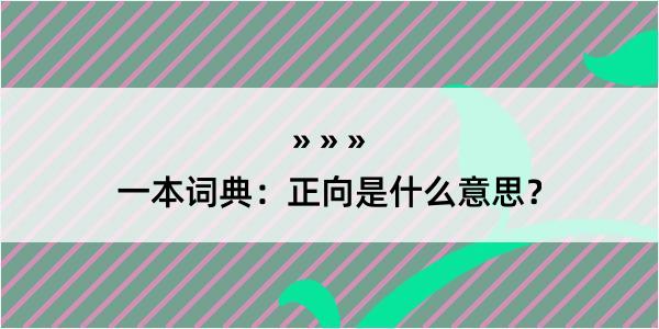 一本词典：正向是什么意思？