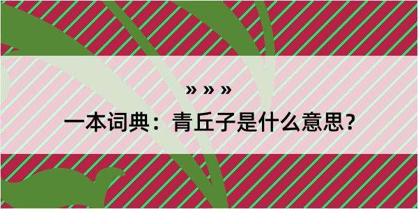 一本词典：青丘子是什么意思？