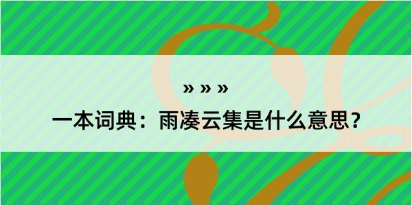 一本词典：雨凑云集是什么意思？