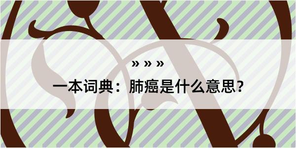 一本词典：肺癌是什么意思？