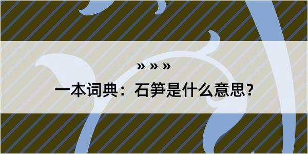 一本词典：石笋是什么意思？