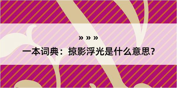 一本词典：掠影浮光是什么意思？