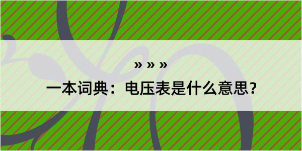 一本词典：电压表是什么意思？