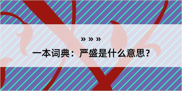 一本词典：严盛是什么意思？