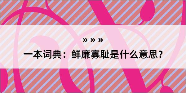 一本词典：鲜廉寡耻是什么意思？