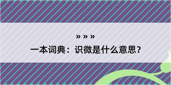 一本词典：识微是什么意思？