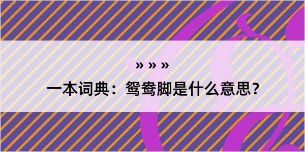 一本词典：鸳鸯脚是什么意思？