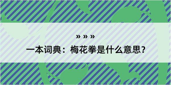 一本词典：梅花拳是什么意思？