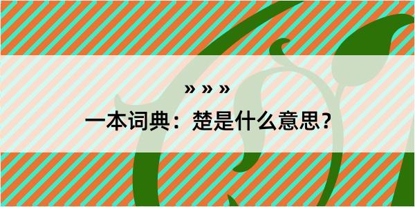 一本词典：楚是什么意思？