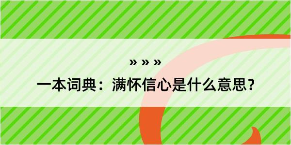 一本词典：满怀信心是什么意思？