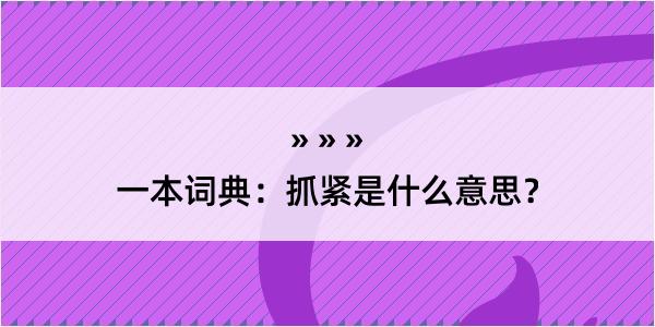 一本词典：抓紧是什么意思？