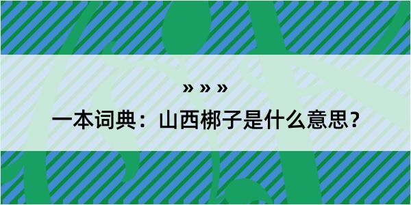 一本词典：山西梆子是什么意思？