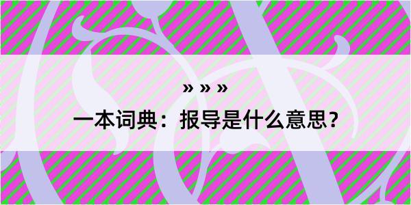 一本词典：报导是什么意思？