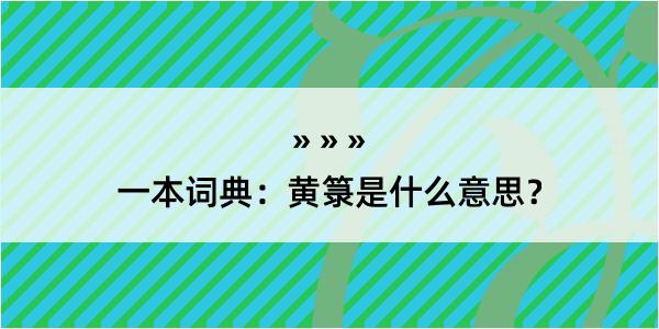 一本词典：黄箓是什么意思？